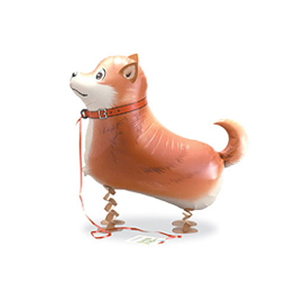 산보풍선-진돗개