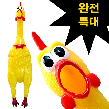 울부짖는 미친닭-특대