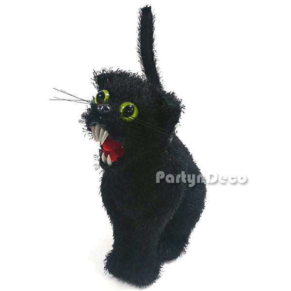 검은 고양이