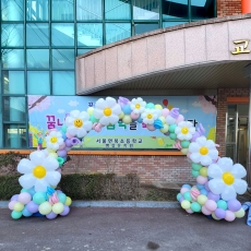 파스텔데이지꽃아치(서울면북초등학교)